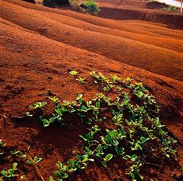 《天国：拯救》主创回应嘲讽事件：卷入了文化战争
